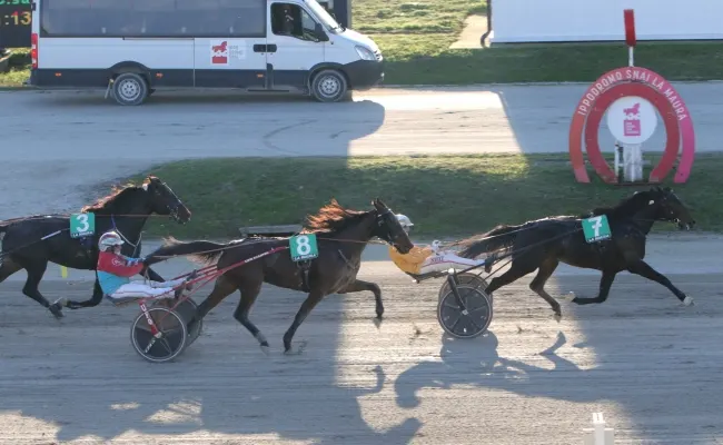 Ippica, domenica all’ippodromo Snai La Maura di Milano con il Premio Princess Grif per la quarta giornata stagionale di trotto