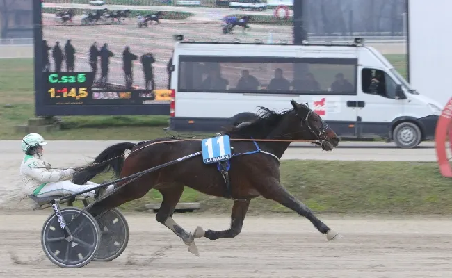 Ippica, all’Ippodromo Snai La Maura di Milano appuntamento con le corse del trotto della domenica