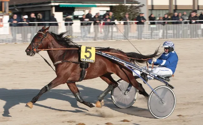 Ippica, per Espada rientro vincente nella domenica all'Ippodromo Snai La Maura di Milano. Intanto sale l'attesa per il Gran Premio Mario Locatelli del 12 febbraio