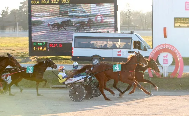 Ippica, all’Ippodromo Snai La Maura di Milano giovedì di trotto in attesa della super domenica con il Gran Premio Mario Locatelli