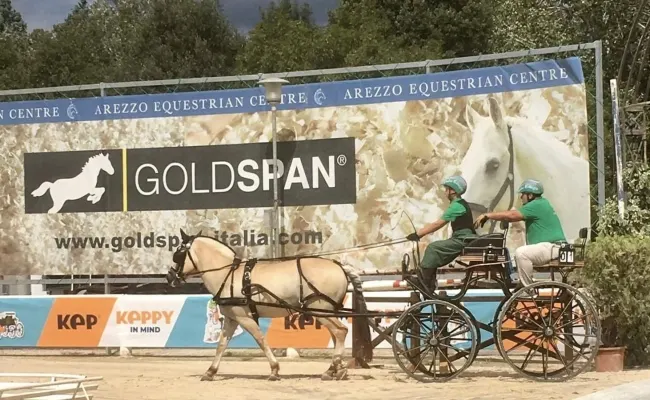 Equitazione, Fise: Emilia Romagna fucina di campioni, stagione molto positiva per gli attacchi