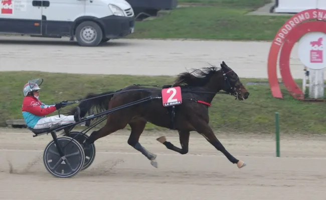 Ippica, giovedì all'ippodromo Snai La Maura di Milano con la nuova giornata di trotto e il premio Penwood al via alle ore 13.45