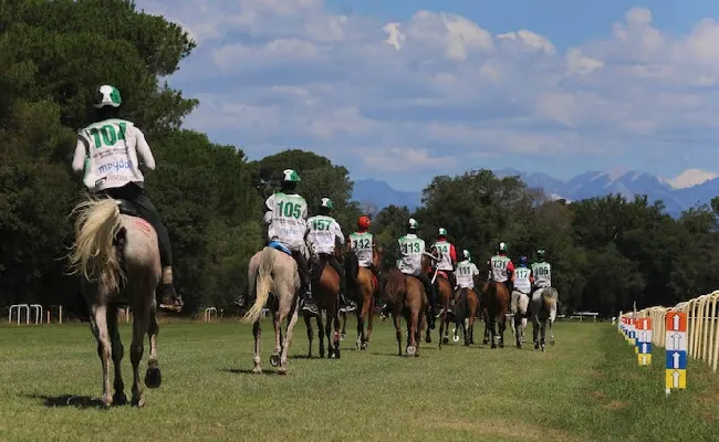 Equitazione, Fise: Emilia Romagna fucina di campioni, risultati di spicco per i giovani dell'Endurance