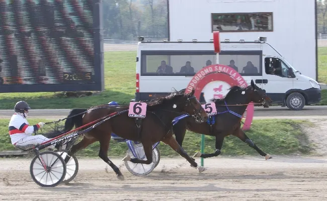 Ippica, venerdì all'Ippodromo Snai La Maura di Milano per una nuova giornata di trotto con sette prove