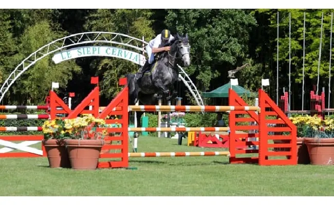 Equitazione, Fise: Emilia Romagna fucina di campioni, i numeri e i centri