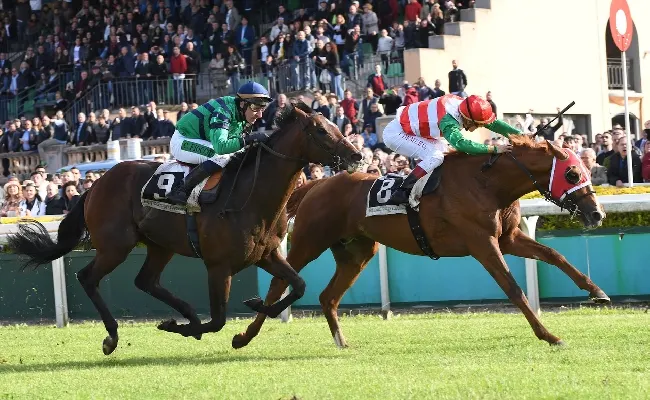 Ippica. Tutto pronto per la Gold Cup: Galopin Des Champs favorito ma A Plus Tard, a 8,50 su Sisal.it, cerca la doppietta a Cheltenham