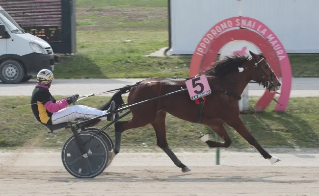 Ippica, martedì all'ippodromo Snai La Maura di Milano con una nuova giornata di trotto. Occhi puntati sul premio Ruty Gri