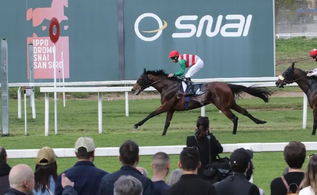 Ippica: all’Ippodromo Snai San Siro la ‘prima’ stagionale di galoppo: in pista il Premio Guido Clerici lo vince Strong Alpha mentre il Premio Apertura va a Schiele