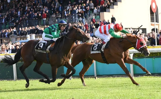 Ippica, Pasquetta a Capannelle: grande spettacolo in pista con il Signorino, il Doria e il Saccaroa