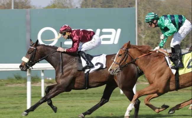 Ippica: l’Ippodromo Snai San Siro festeggia la Pasqua nel segno di Estrosa per il Premio Seregno, mentre nel Gardone la versione migliore di Saputello