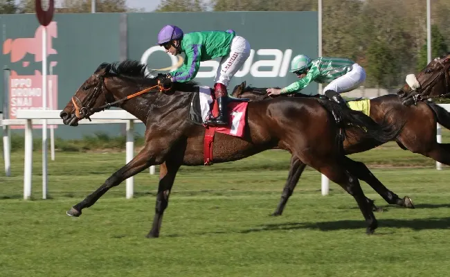 Ippica, nella domenica all'Ippodromo Snai San Siro il sole illumina Aggenstein che vince il Premio Canter 1920