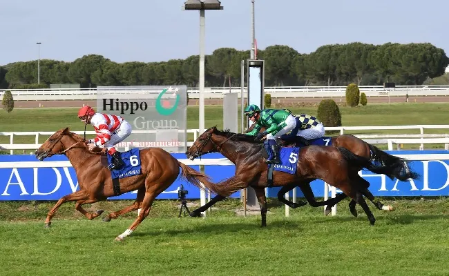 Ippica, weekend brillante a Capannelle: sabato 22 trotto e domenica 23 galoppo, in attesa del gran giorno delle Ghinee italiane