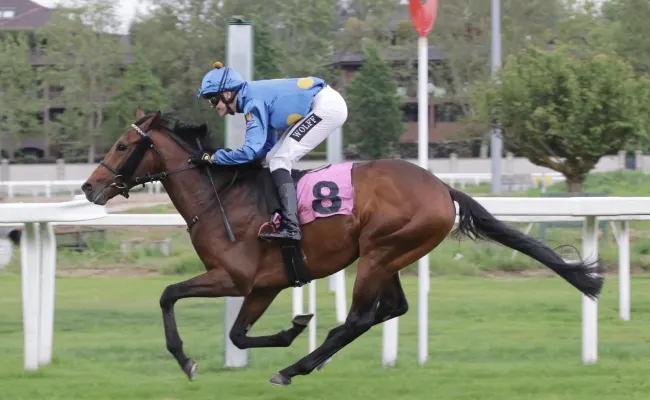 Ippica, all’Ippodromo Snai San Siro si parla tedesco nel Premio Emanuele Filiberto con la vittoria di Winning Spirit. Nel Premio Certosa vola Talentuosa