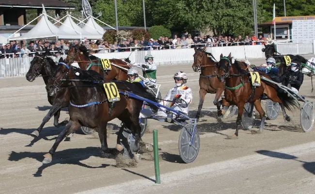 Ippica, all’Ippodromo Snai La Maura il Gran Premio Ettore e Mario Barbetta lo vince Boccadamo con un Roberto Vecchione 'calcolatore'