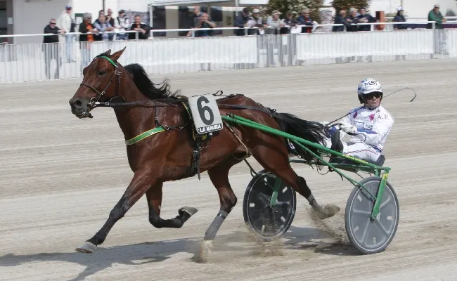 Ippica, all’Ippodromo Snai La Maura cala il poker Alessandro Gocciadoro che però ‘stecca’ il Premio Defilé vinto da Dayton con Andrea Farolfi