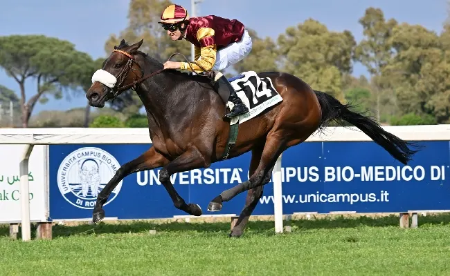 Lanfranco "Frankie" Dettori trionfa nel Premio Parioli in sella a Vero Atleta. Shavasana vince il Regina Elena davanti a Estrosa, la cavalla di Max Allegri
