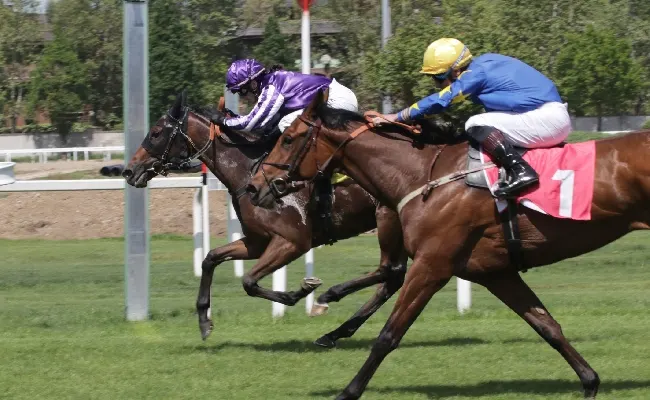 Ippica, all’Ippodromo Snai San Siro di Milano mercoledì da ‘Champions’ con protagonisti i cavalli di 2 anni ed altre prove di qualità. Al via dalle ore 13:55