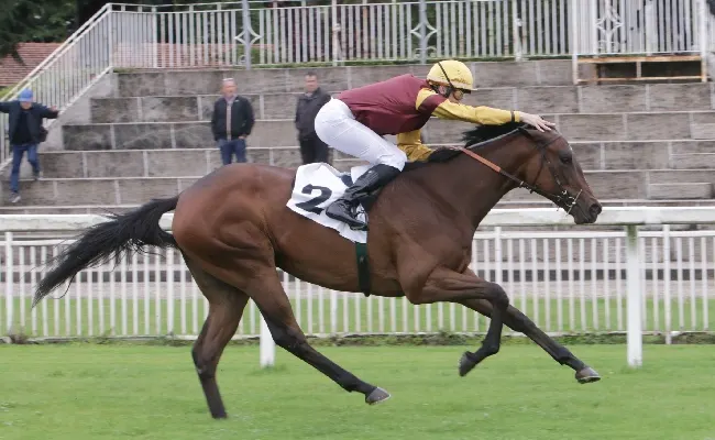 Ippica, all’Ippodromo Snai San Siro di Milano mercoledì Champions per le debuttanti con Gaeli protagonista tra i maschi e Folgaria nella prova femminile
