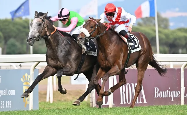 Ippica: domenica 21 maggio parata di stelle all'Ippodromo Capannelle per il Derby Day. Torna a Roma Frankie Dettori