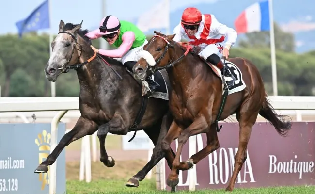 Ippica, Capannelle: domani alle ore 17.30 in programma il 140° Derby Italiano di Galoppo
