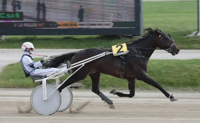 Ippica, il martedì di trotto all'Ippodromo Snai La Maura di Milano pronto con sette prove tra cui il Premio Vistamar