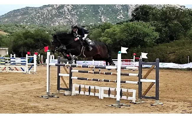 Ippica, salto ostacoli: all'Ippopark di Golfo Aranci i Campionati Regionali. Da tre anni è campione in carica Giovanni Carboni