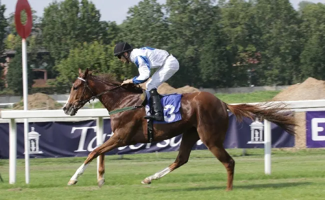 Ippica, all’Ippodromo Snai San Siro di Milano mercoledì con il Premio Boffalora vinto da Confort Zone e il Premio Tramuschio a Orso. Domenica l'atteso 'Carlo Vittadini'