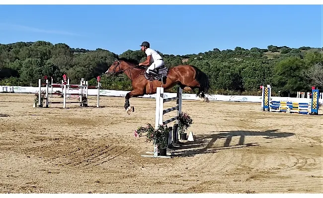 Salto ostacoli: all'Ippopark di Golfo Aranci il Gran Premio Agris-Fise Sardegna è del binomio campione regionale, Gianleonardo Murruzzu su Taissa Sarda