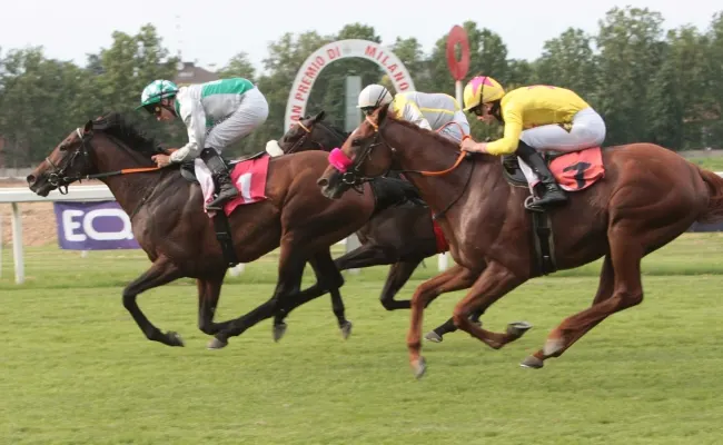 Ippica: mercoledì all’Ippodromo Snai San Siro sette corse dalle ore 16:30 con il Premio dell’Avvenire, il Premio Alessandro Sambruna e il Premio Macherio