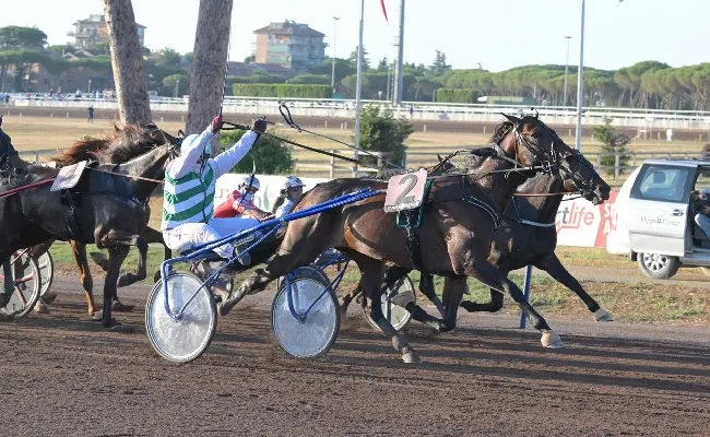 Ippica, Capannelle: ufficializzati i partenti del Gran Premio Triossi, Gran Premio Turilli e Gran Premio Carena
