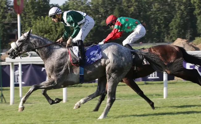 Ippica, all’Ippodromo Snai San Siro domenica con le supercar, l'animazione e il grande galoppo. In pista il Gp d'Italia lo vince Budrio, il Premio Bersaglio va a Noble Title e Arabian Legend fa sul l'Estate