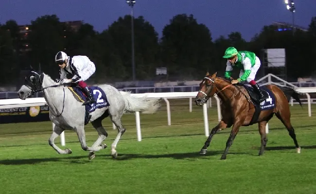 Ippica: nel mercoledì di galoppo all’Ippodromo Snai San Siro ecco i purosangue arabi della “Milano UAE President Cup”