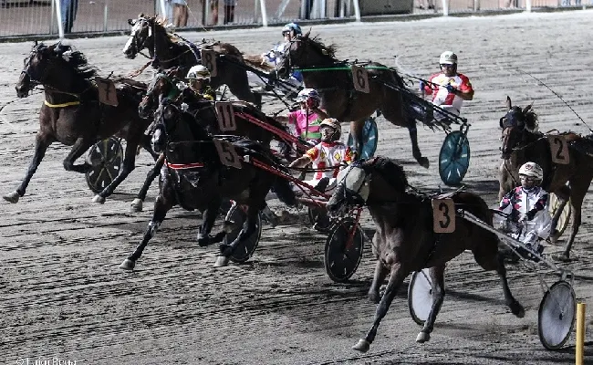 Ippica, Ippodromo Cesena: trotto, resoconto delle corse di venerdì 30 giugno 2023 Ouverture