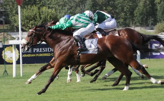 Ippica, all’Ippodromo Snai San Siro primi passi per la disarmante Folgaria. Maturlo sorprende nel De Montel, mentre nel Mantovani si conferma Sioux Life