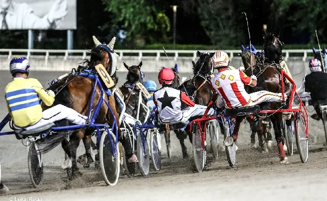 Ippica, ippodromo Cesena Trotto: presentazione delle corse venerdì 7 luglio 2023