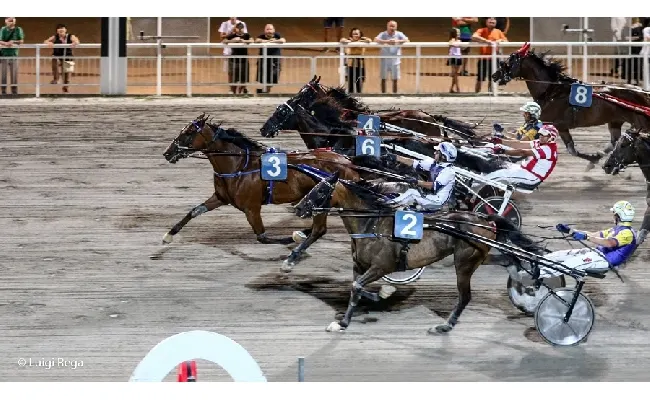 Ippica, Ippodromo Cesena trotto: resoconto delle corse di martedì 11 luglio