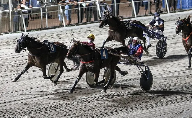 Ippica, Ippodromo Cesena trotto: il resoconto delle corse di sabato 15 luglio