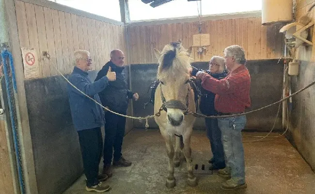 Equitazione, Fise Emilia Romagna: tre progetti che vanno ripetuti