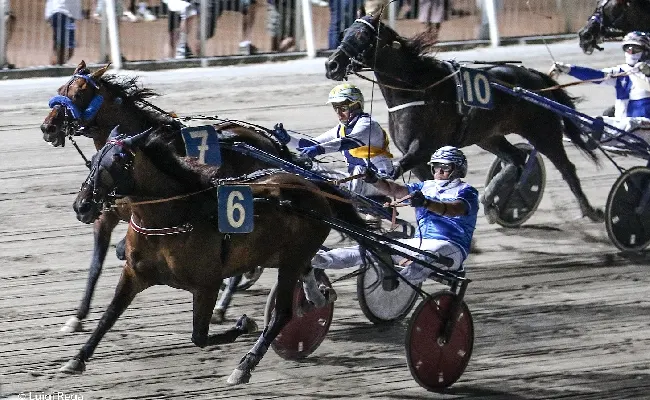 Ippica, Ippodromo Cesena trotto: resoconto delle corse di martedì 18 luglio 2023