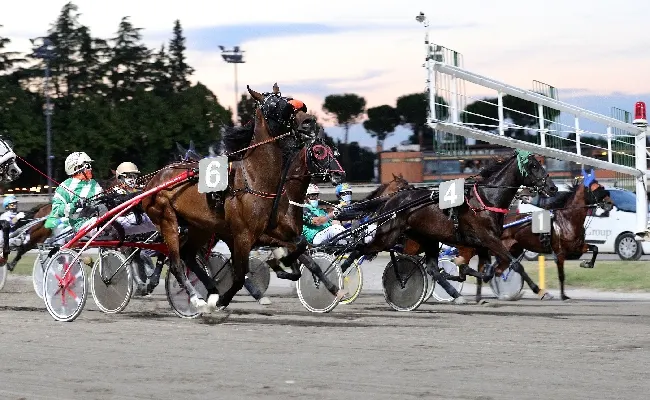 Ippica, Ippodromo Cesena trotto: presentazione corse di martedì 25 luglio 2023