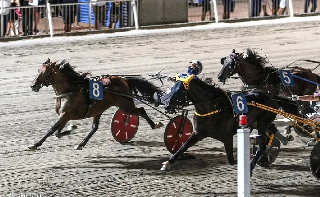 Ippica, Ippodromo Cesena trotto: resoconto delle corse di martedì 1 agosto 2023