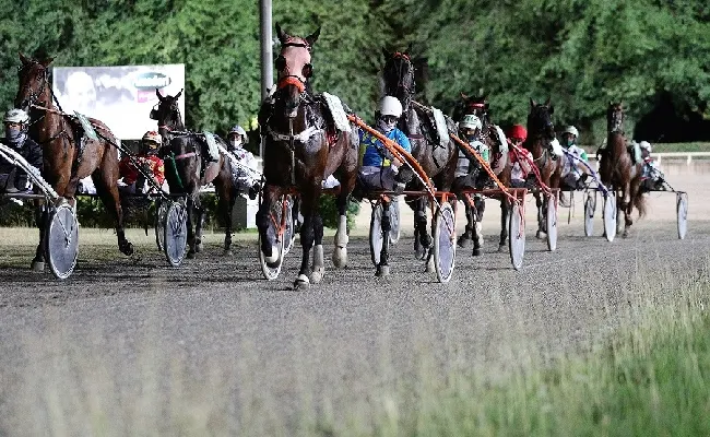 Ippica, Ippodromo Cesena trotto: presentazione corse di sabato 5 agosto 2023