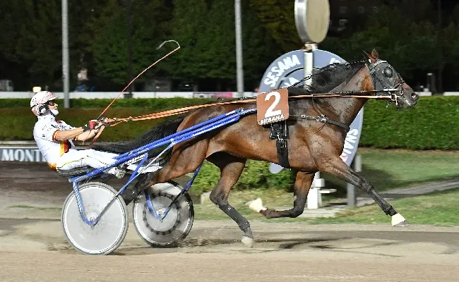 Ippica, Fiamma BFC prosegue la sua striscia di vittorie anche nel premio Chiordi: clou del giovedì sera all’ippodromo Snai Sesana