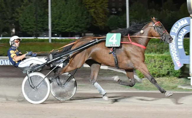 Ippica: all’Ippodromo Snai Sesana, nel sabato dedicato all'Avis, Enki Brown Effe vince anche in ricordo della giornalista Alessia Franchini. Intanto è tutto pronto per il Gp Città di Montecatini di Ferragosto