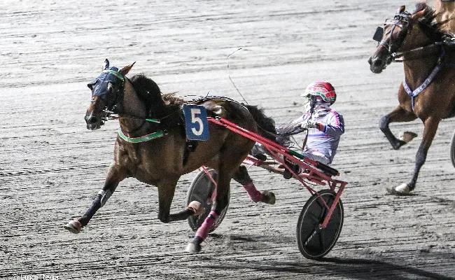 Ippica, Cesena: Camelot Col vince il Premio Tribunato di Romagna