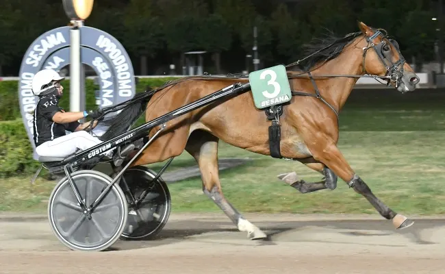 Ippica, all’Ippodromo Snai Sesana ultimo giovedì d’agosto con la finale del ‘Trofeo Sesana’