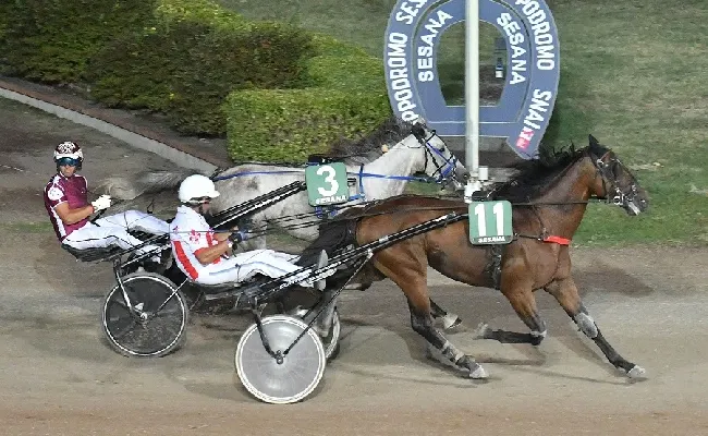 Ippica: all’Ippodromo Snai Sesana, nell’ultimo giovedì di corse di agosto, la finale del ‘Trofeo Sesana’ è di Dotto Dell’Est
