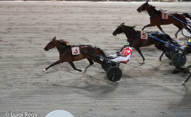 Ippica, ippodromo Cesena Trotto: resoconto delle corse di sabato 2 settembre