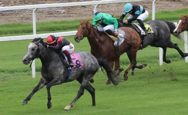 Ippica, all’Ippodromo Snai San Siro continua la stagione di galoppo dopo la pausa estiva. Domenica programma con otto prove tra cui il premio Bessero, il Fassati e il Cancelli