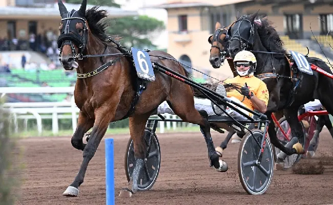 Ippica: il 7/8 ottobre a Capannelle, aste Anact e Derby